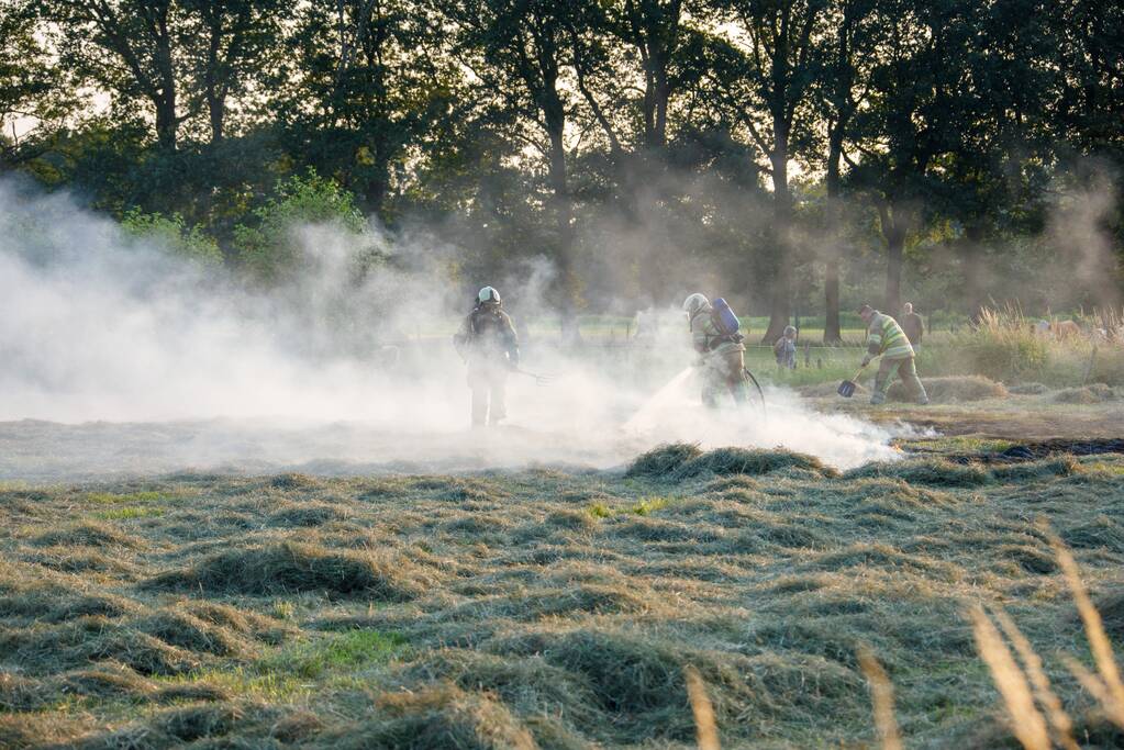 Enorme rookwolken door brand in gemaaid gras