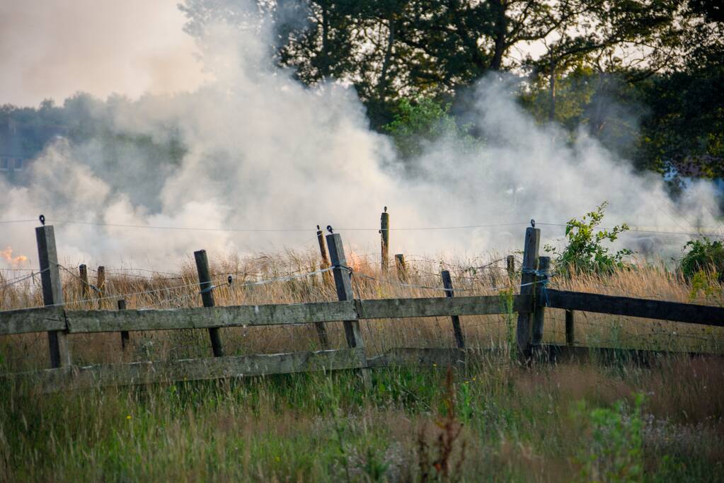 Enorme rookwolken door brand in gemaaid gras