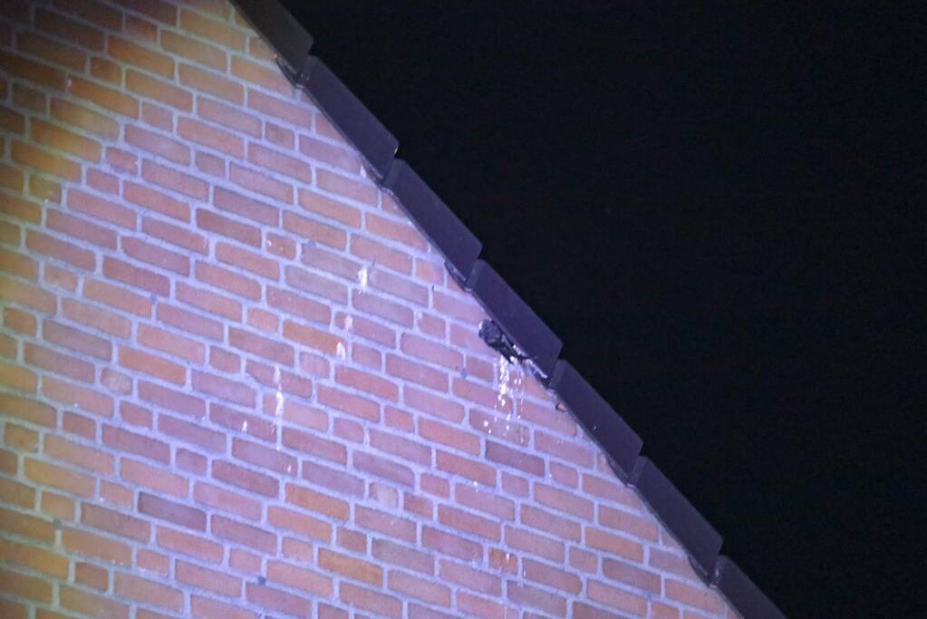 Brandweer bevrijdt bekneld zittende vogel