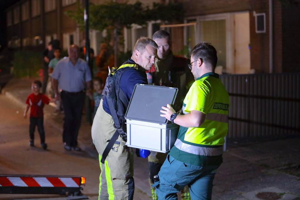 Brandweer bevrijdt bekneld zittende vogel