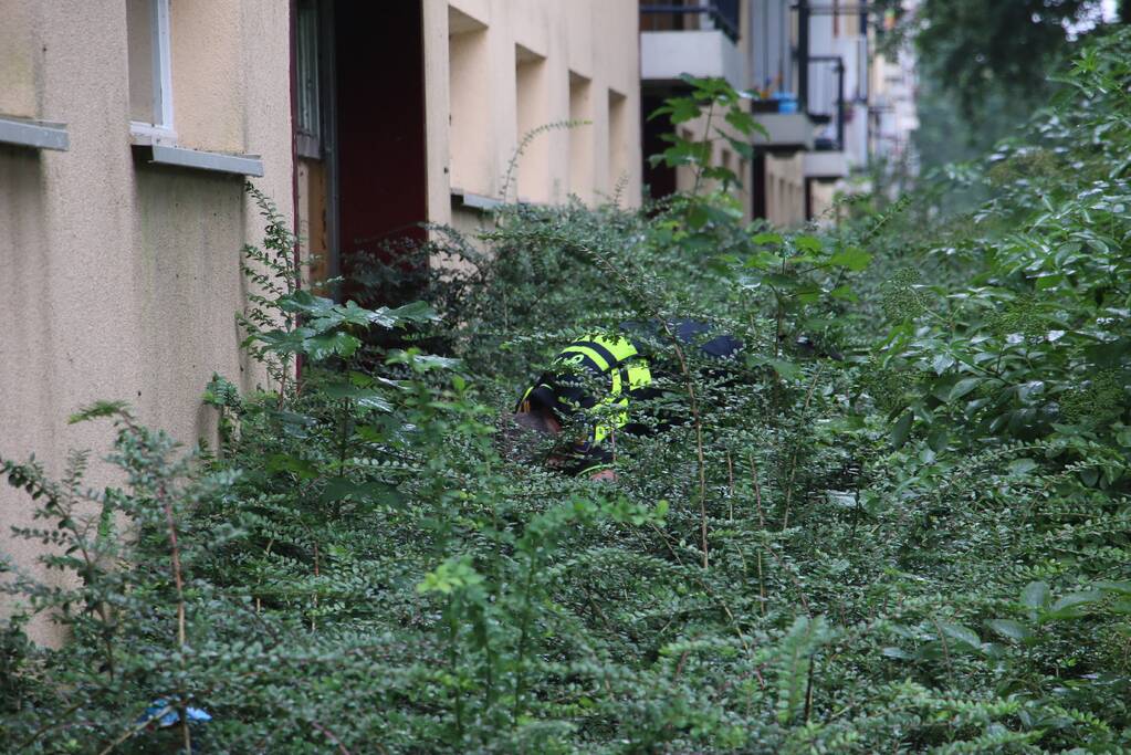 Steekincident in flatwoning