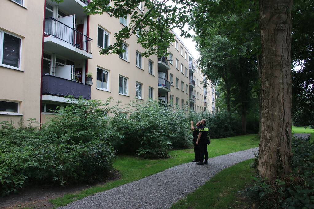 Steekincident in flatwoning