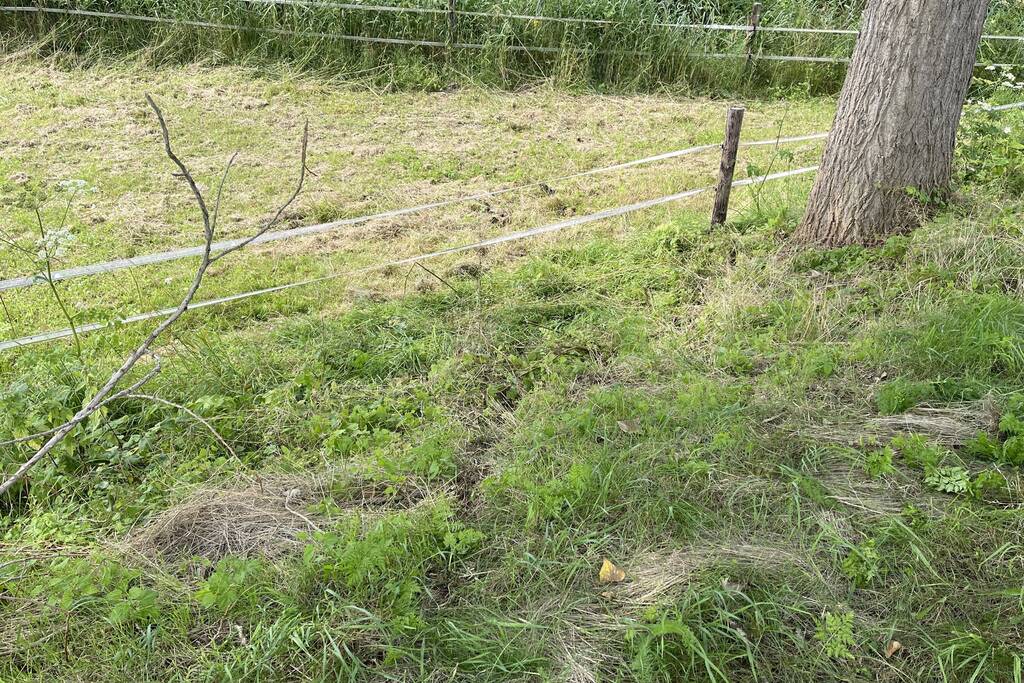 Man glijdt met brommobiel van talud af