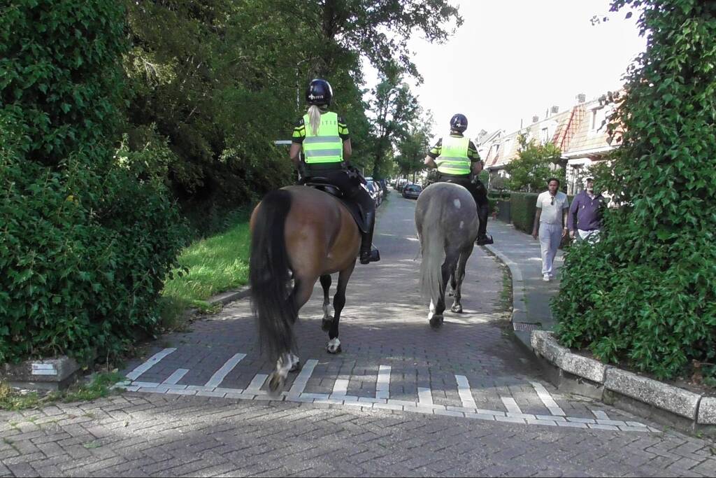 Jongen overleden bij steekpartij in Beverwaard