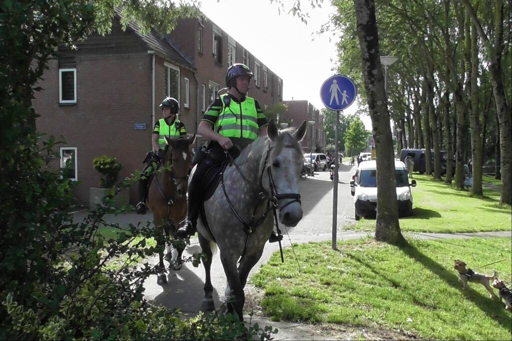 Jongen overleden bij steekpartij in Beverwaard