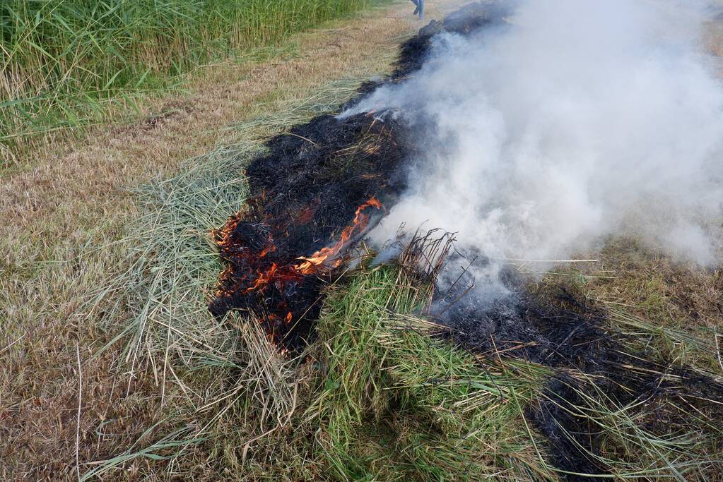 Brand in gemaaid gras