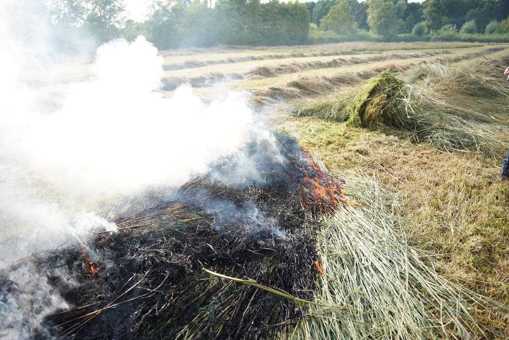Brand in gemaaid gras