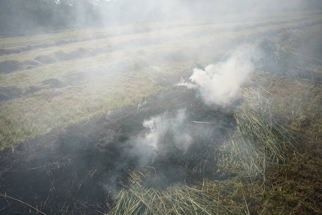 Brand in gemaaid gras