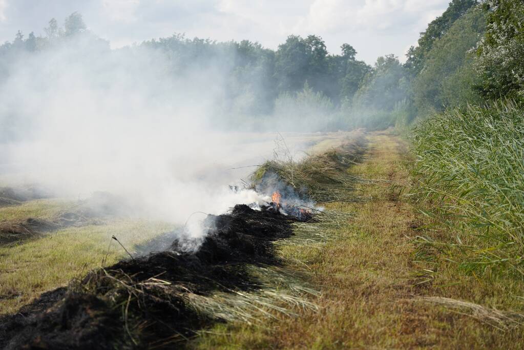 Brand in gemaaid gras