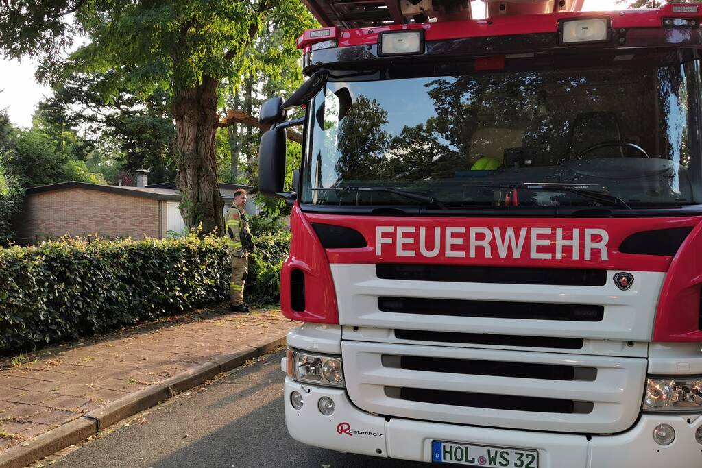 Brandweer verwijdert twee gevaarlijk hangende takken