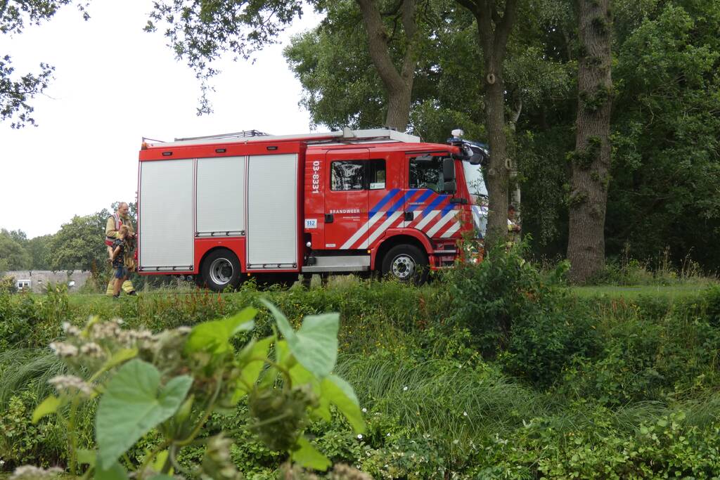 Brandweer redt hert uit water