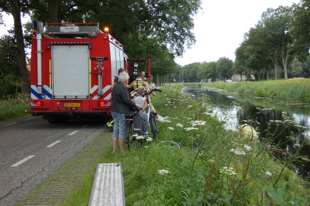 Brandweer redt hert uit water