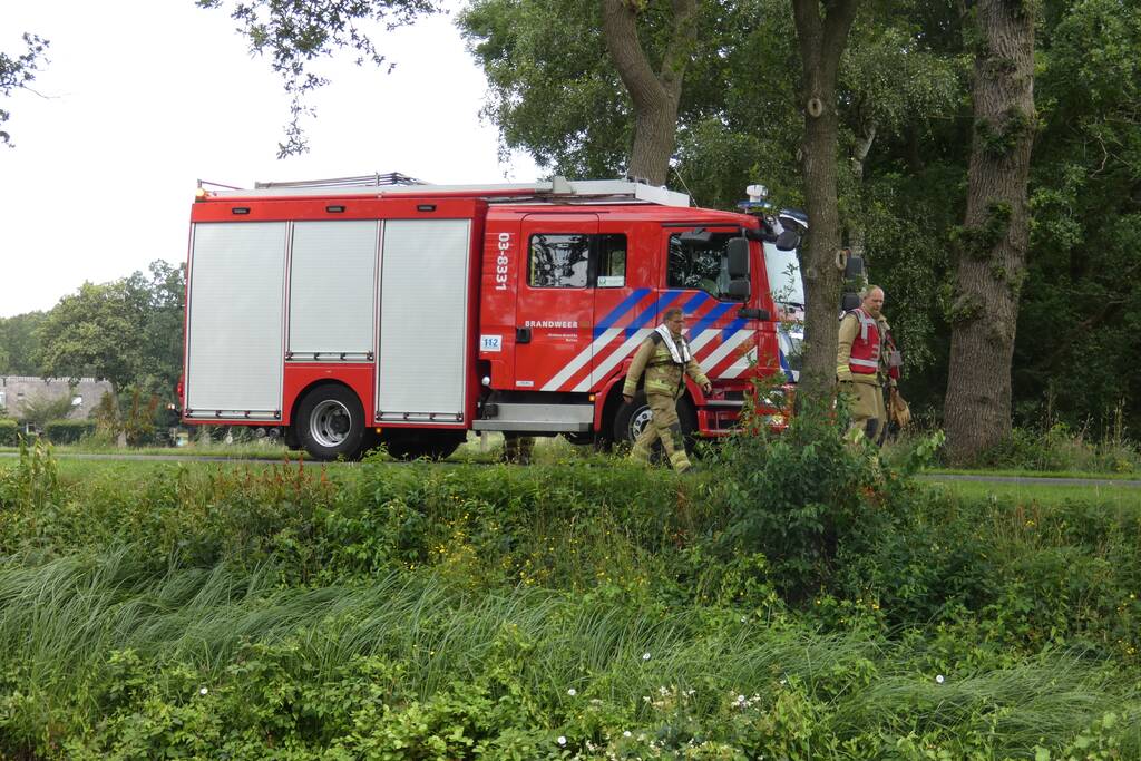 Brandweer redt hert uit water