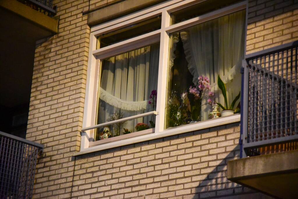 Schoten gelost op woning en winkelpand