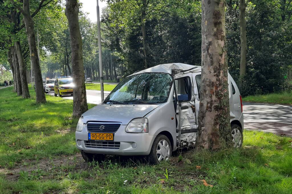 Automobilist rijdt tegen boom