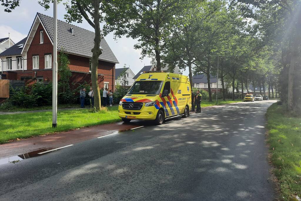 Automobilist rijdt tegen boom