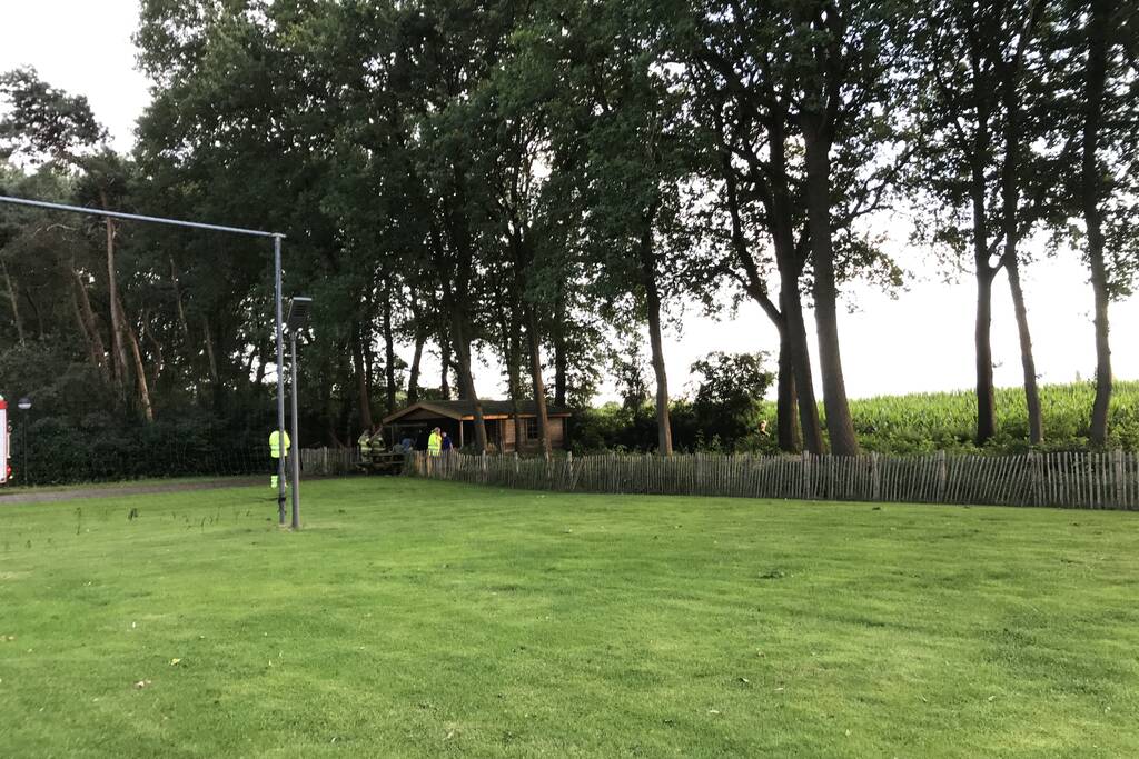 Kitten vast in de boom