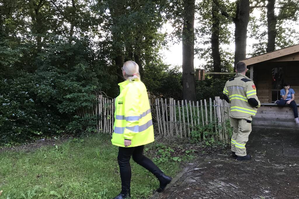 Kitten vast in de boom