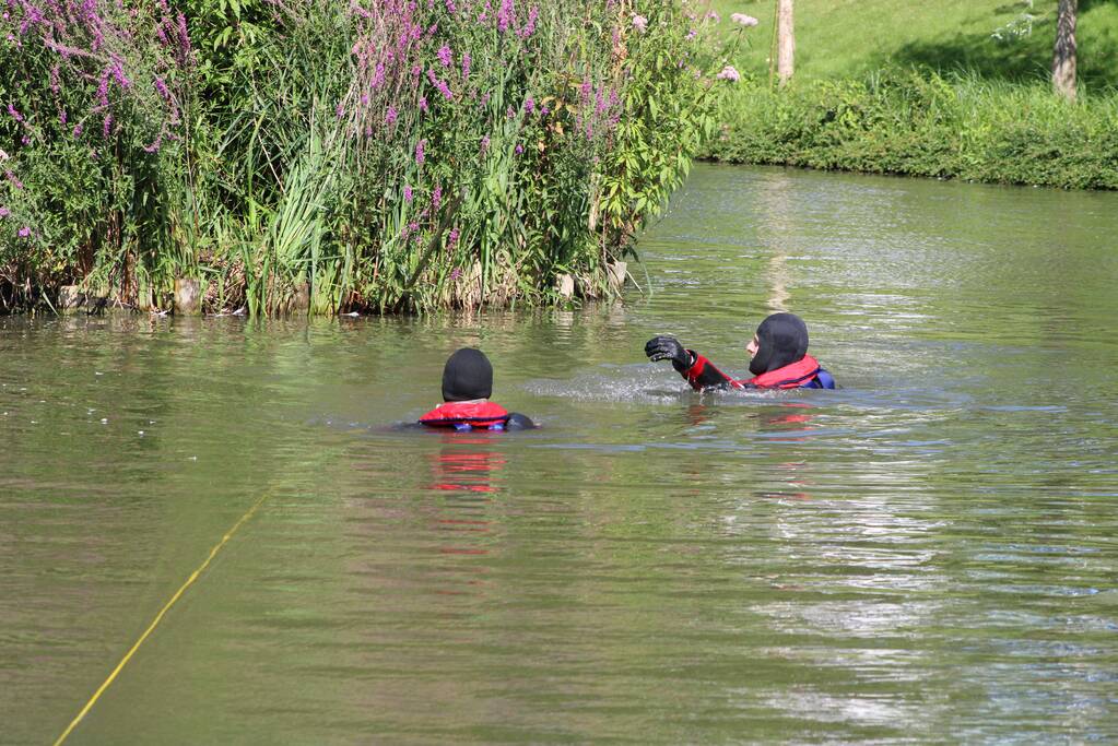 Gans slaat op de vlucht bij reddingspoging