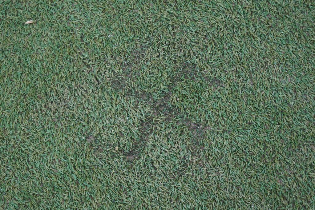 Hakenkruis in kunstgras gebrand van voetbalkooi