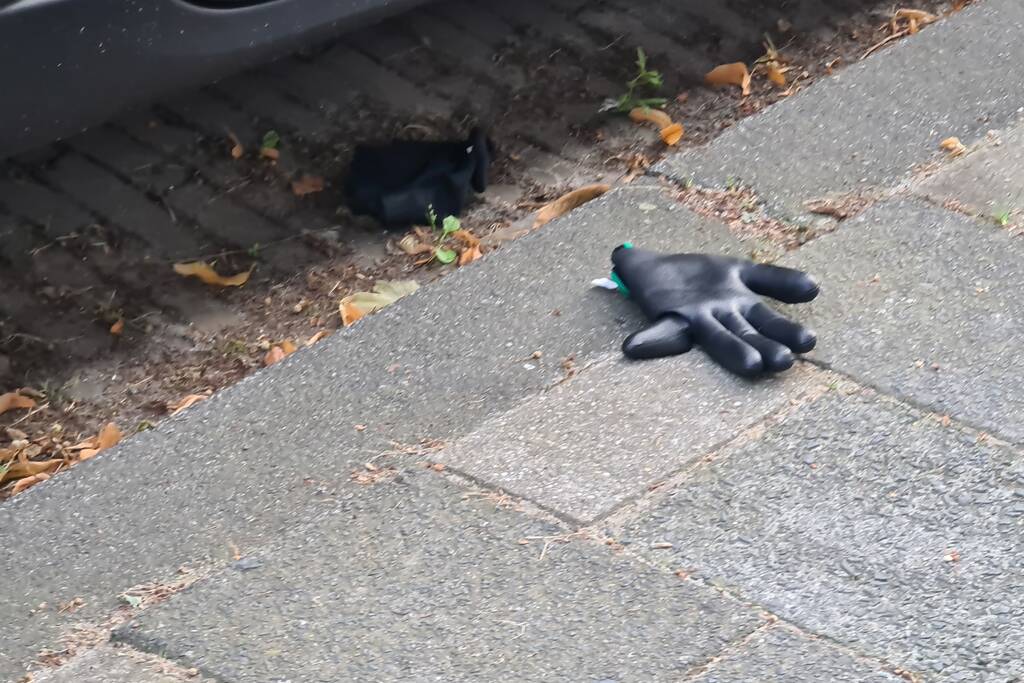 Diverse aanhoudingen bij politie-inzet in wijk Kromme Gouwe