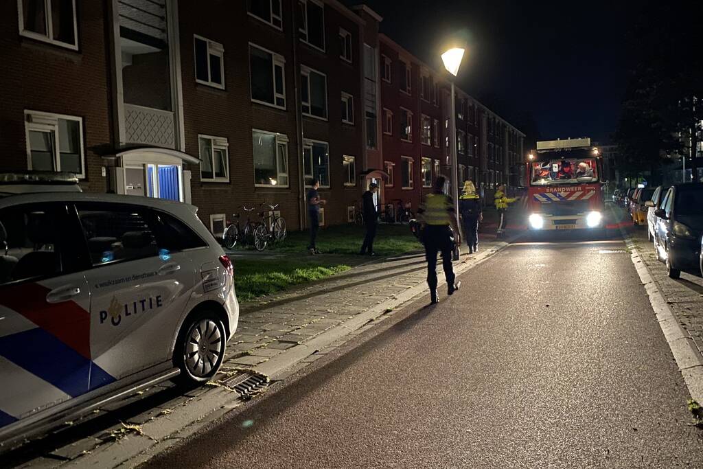 Kat vast tussen raam