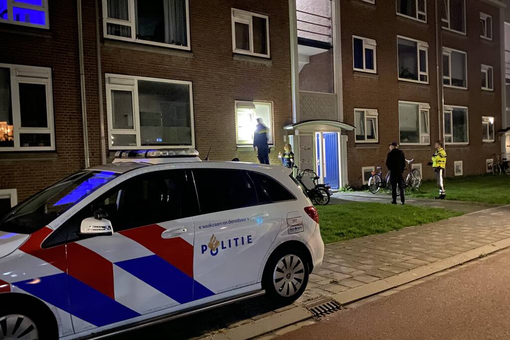 Kat vast tussen raam