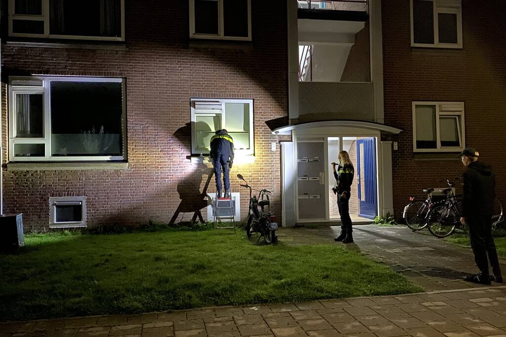 Kat vast tussen raam