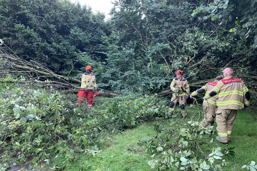 Brandweer zaagt omgevallen boom in stukken