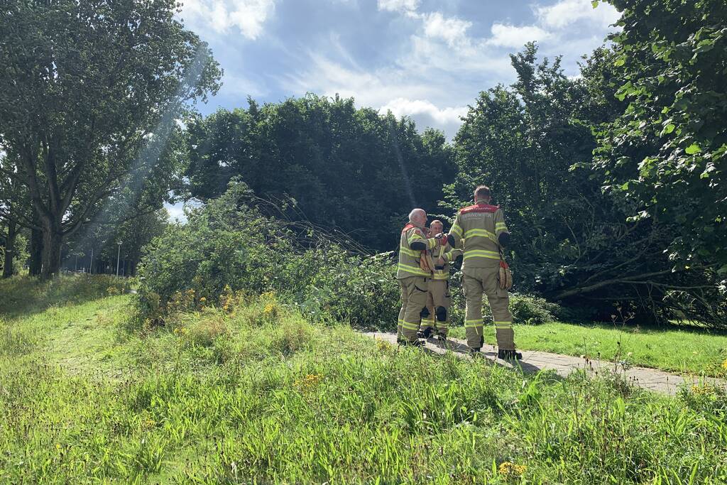 Brandweer zaagt omgevallen boom in stukken