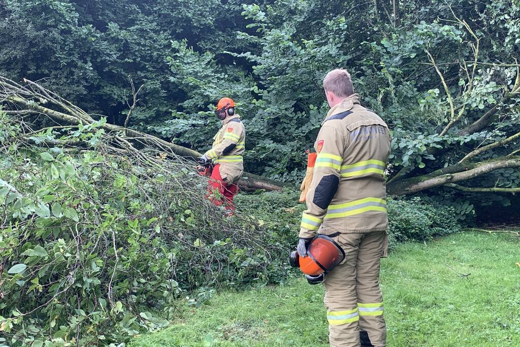 Brandweer zaagt omgevallen boom in stukken
