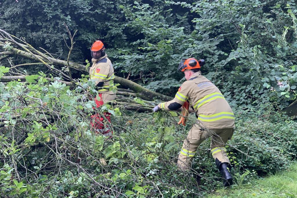 Brandweer zaagt omgevallen boom in stukken