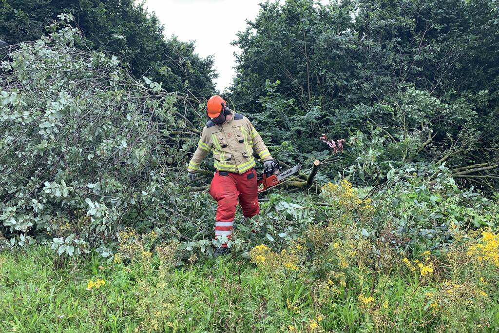 Brandweer zaagt omgevallen boom in stukken