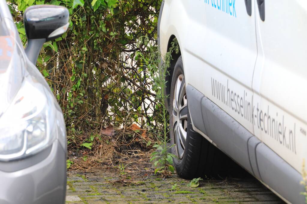 Vlammen onkruidbrander slaat over naar geparkeerde bestelbus