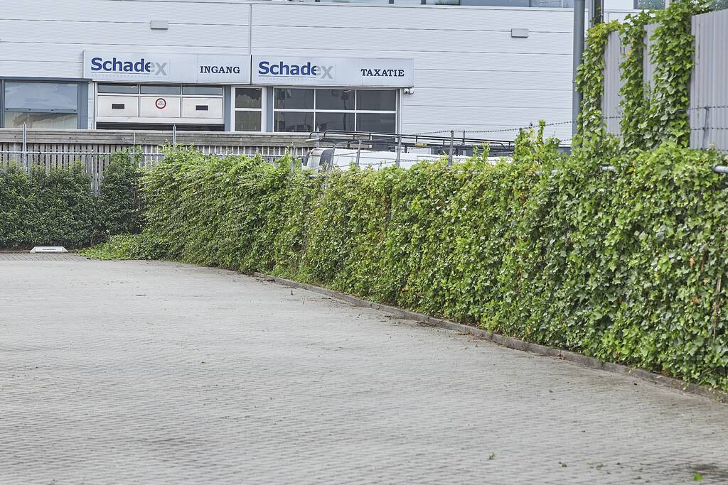 Vlammen onkruidbrander slaat over naar geparkeerde bestelbus