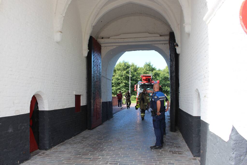 Duif vast achter net in Nobelpoort