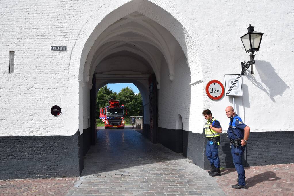 Duif vast achter net in Nobelpoort