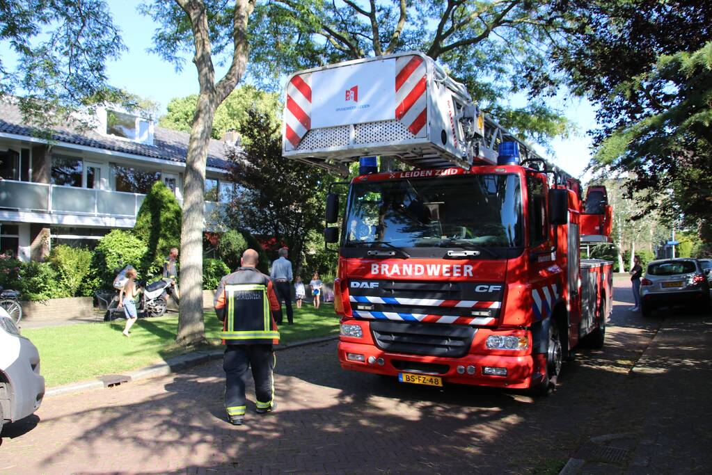 Siamese kat zit vast op schoorsteen van woning