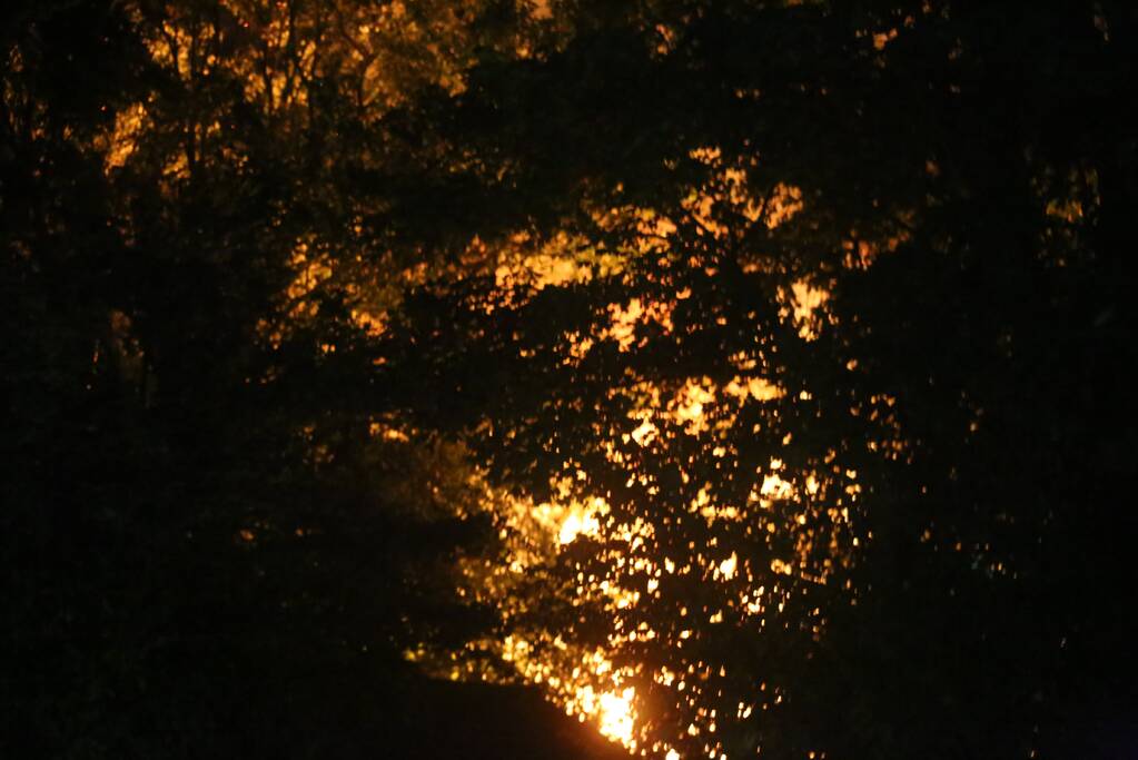 Houten chalet volledig afgebrand