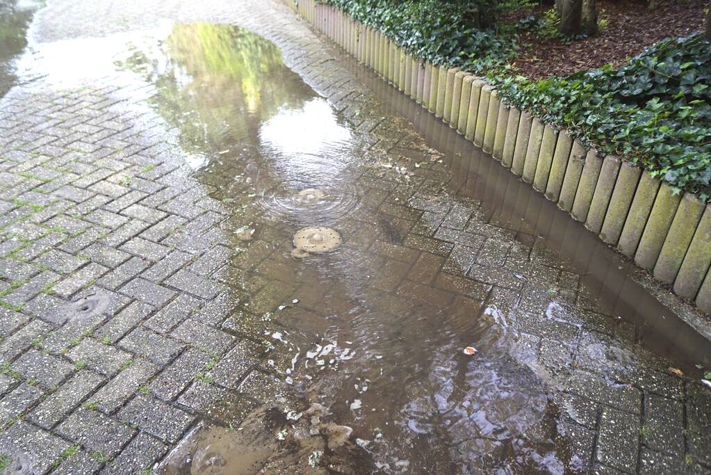 Afzetting wegens verzakkingsgevaar wordt genegeerd