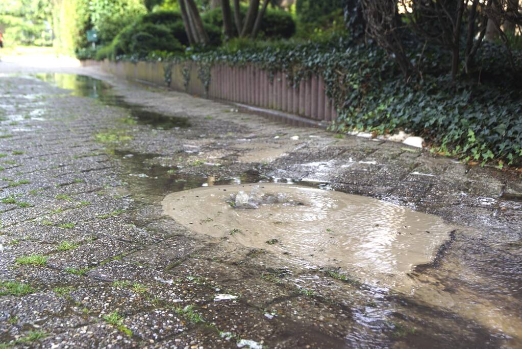 Afzetting wegens verzakkingsgevaar wordt genegeerd