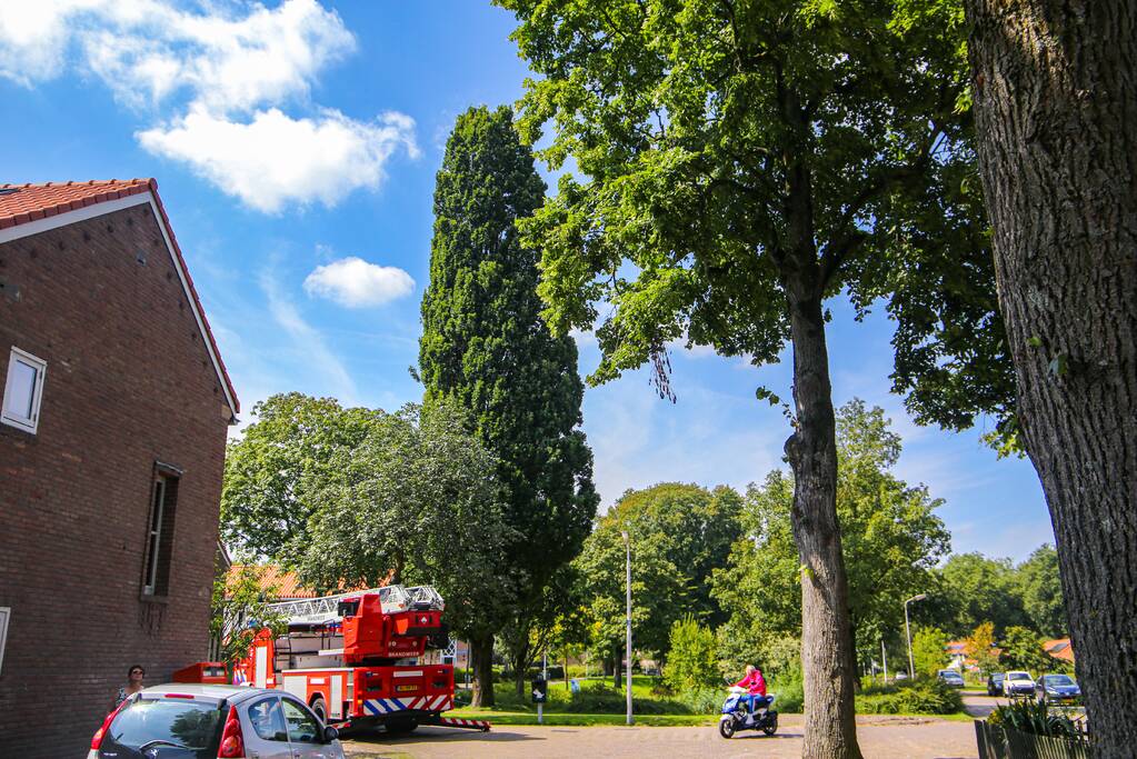 Brandweer verwijdert gevaarlijk hangende takken