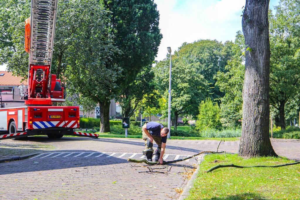 Brandweer verwijdert gevaarlijk hangende takken