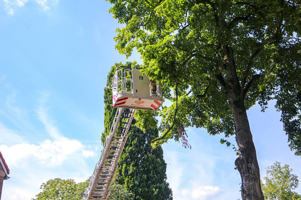 Brandweer verwijdert gevaarlijk hangende takken