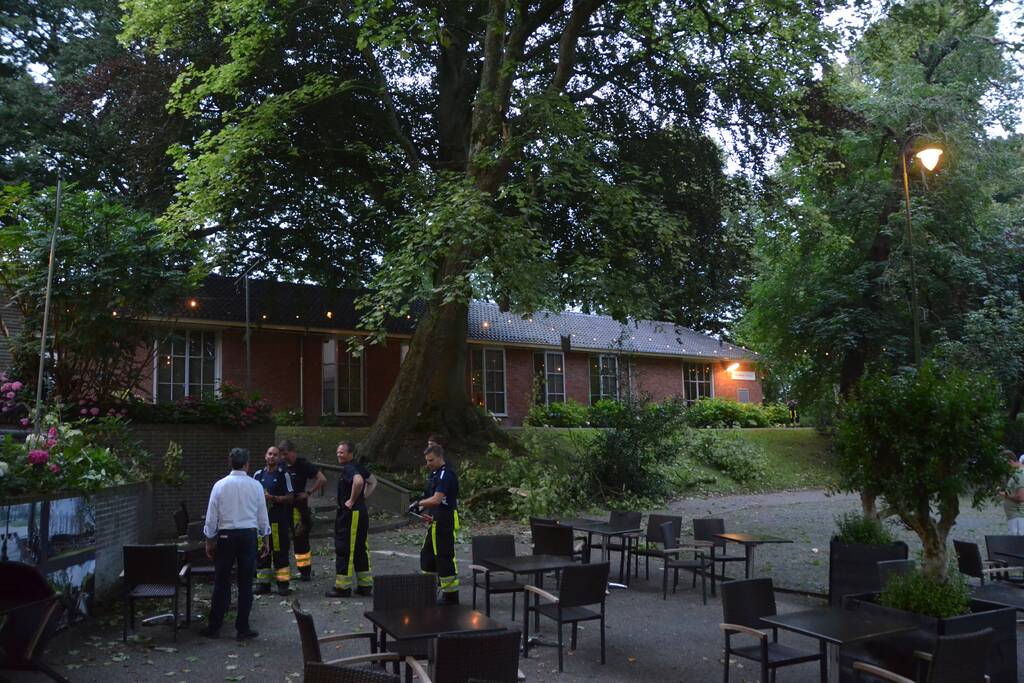 Grote tak breekt af en valt op terras