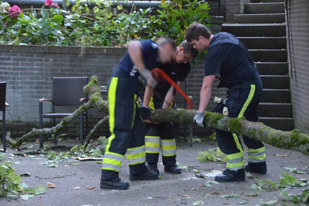 Grote tak breekt af en valt op terras