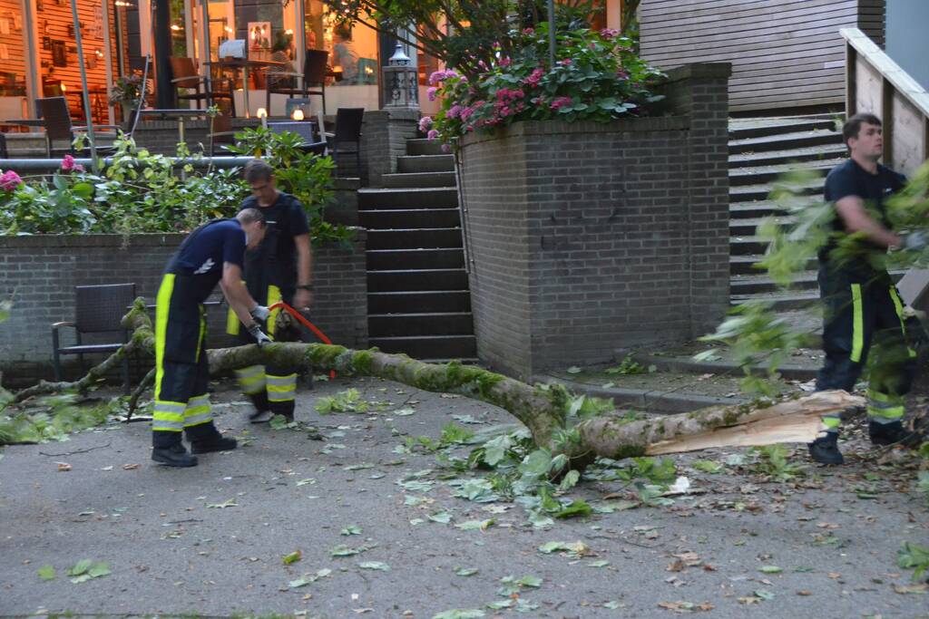 Grote tak breekt af en valt op terras