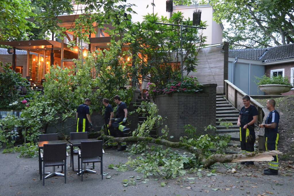 Grote tak breekt af en valt op terras