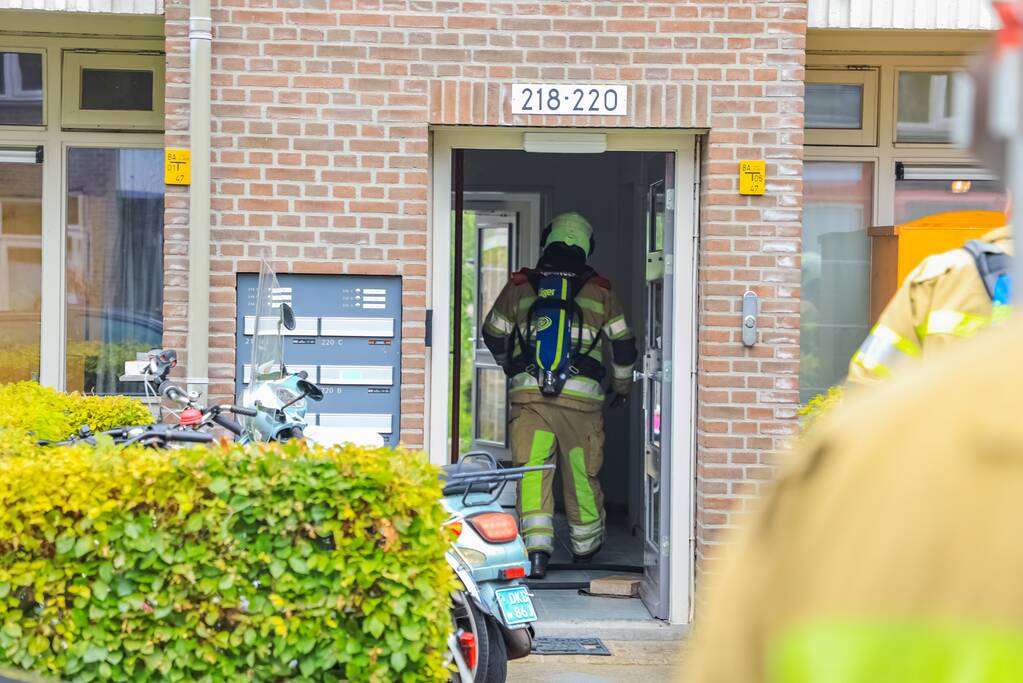 Huisdieren gered bij flinke brand in flatgebouw