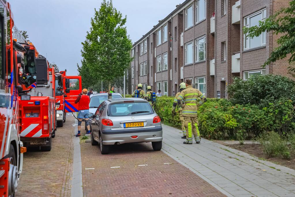 Huisdieren gered bij flinke brand in flatgebouw